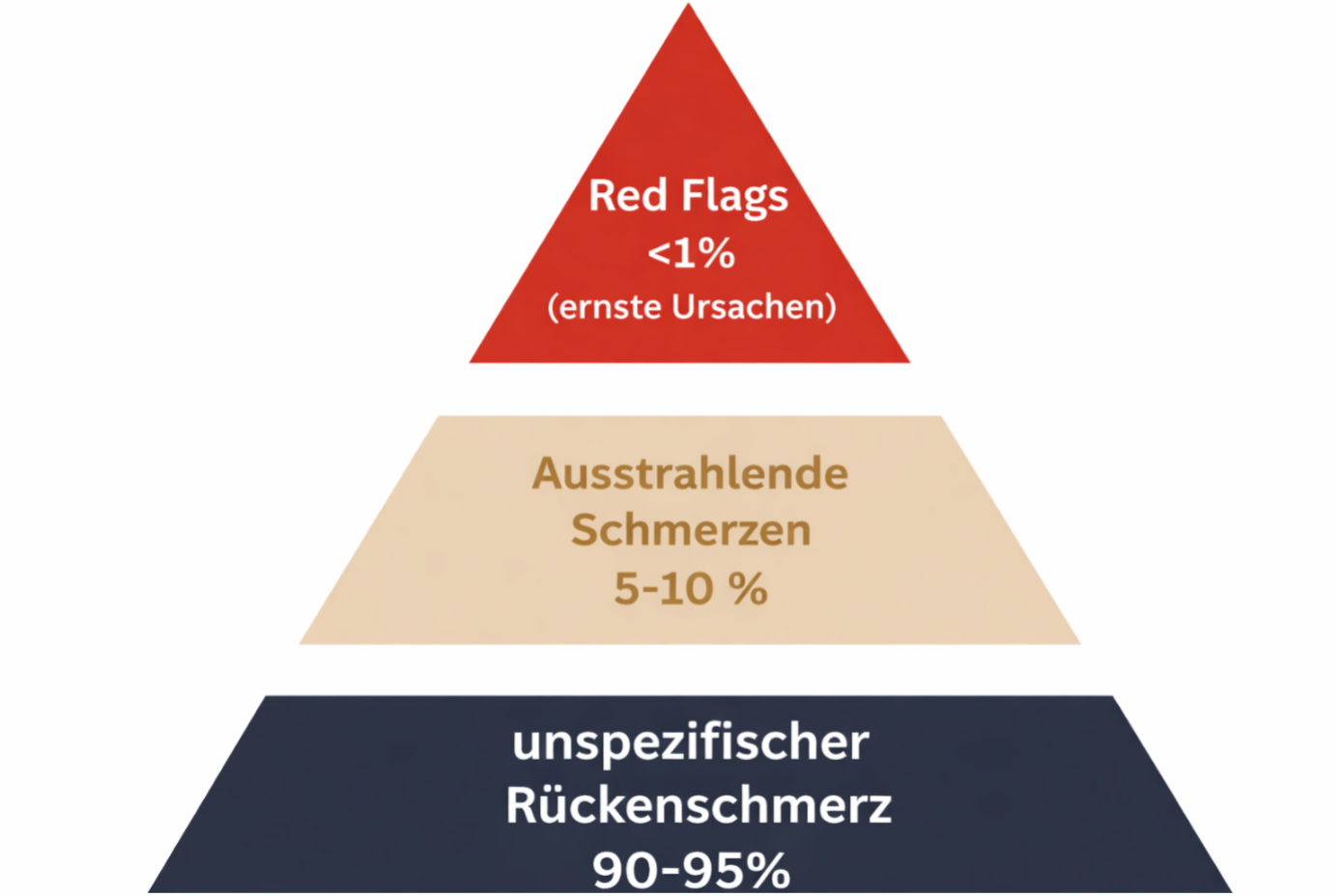 Felix Kade: Schmerzanalyse bei Rückenschmerzen (letzter Aufruf 26.01.2026)